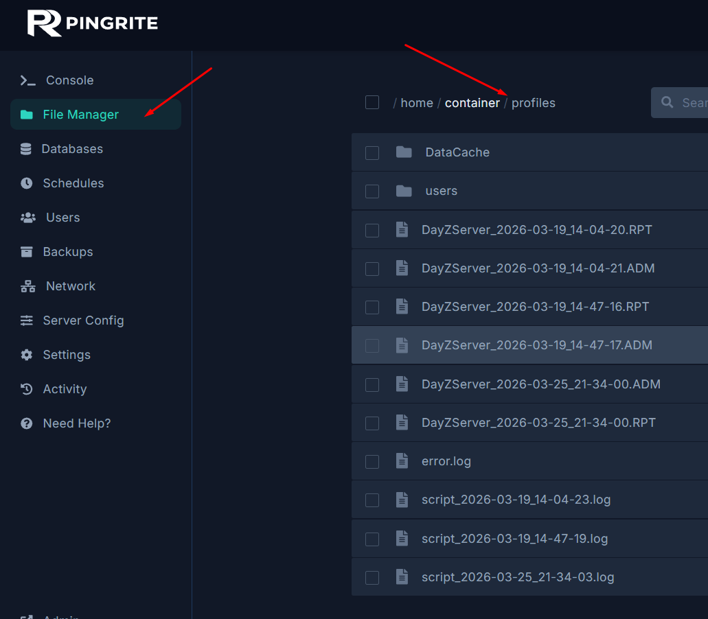 The profiles folder in the DayZ server file manager showing log files